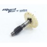 Pignon 125 dtr / gear wheel