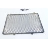 Grille de radiateur 250 KSF