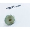 Pignon 125 dtr / gear wheel