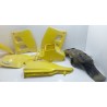 Lot plastique Suzuki 200 TSR