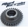 pignon 200 TSR / gear wheel