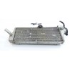 Radiateur 250 TC 2004