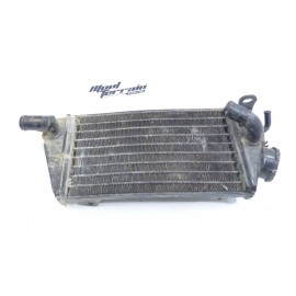 Radiateur Suzuki 250 TSX