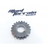 Pignon 250 wr 2008 / gear wheel