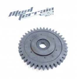 Pignon 250 raptor / gear wheel