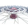 Roue avant (Petite) 85 rm 2004 / Wheel