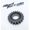 Pignon 250 wr 2008 / gear wheel